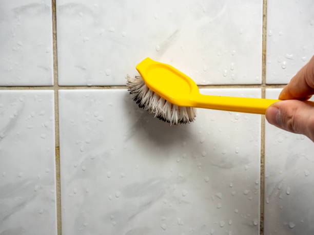 Best Post-Remediation Services in Moundsville, WV
