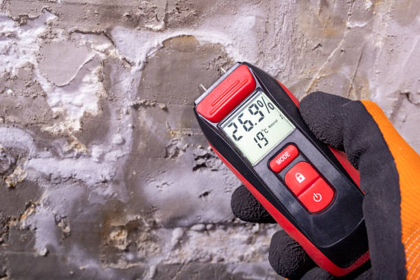 Professional Mold Remediation in Moundsville, WV