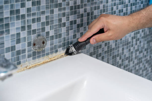 Best Localized Mold Remediation (e.g., coastal areas, humid climates) in Moundsville, WV