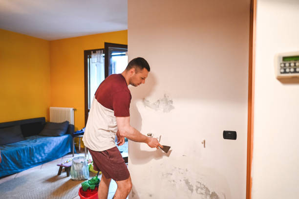 Best Post-Flood Mold Remediation in Moundsville, WV